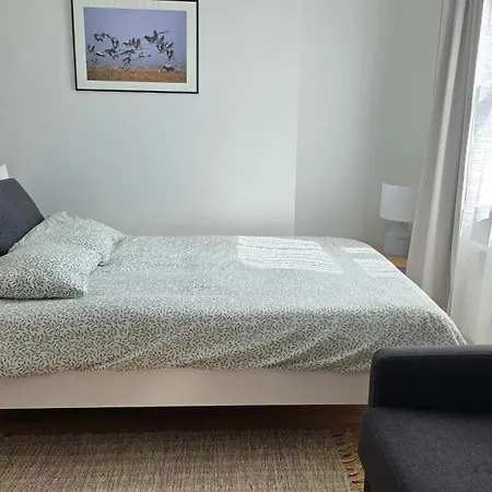 Apartment In The Center